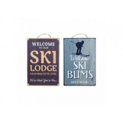 Oferta placa pared ski
