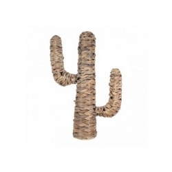 Cactus mediano hoja de banana