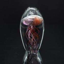 Pisapapel medusa
