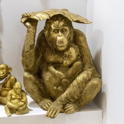 Orangutan dorado