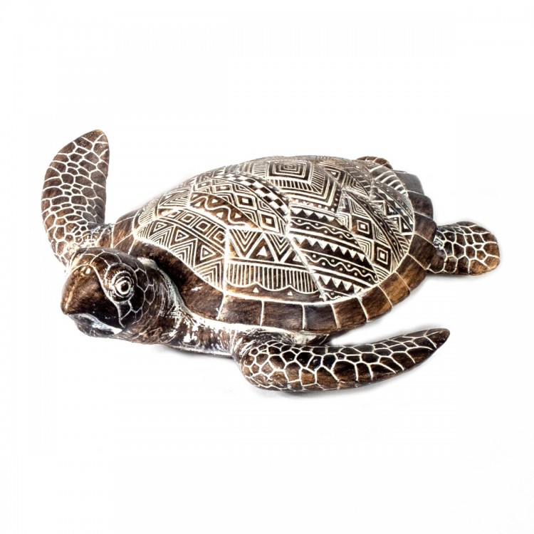 Tortuga