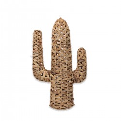 Cactus decoracion