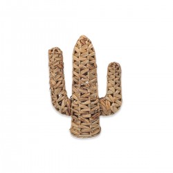 Cactus decoracion