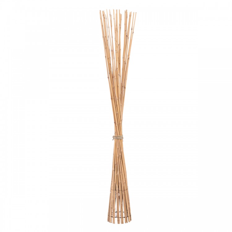 Rama decorativa de bambu