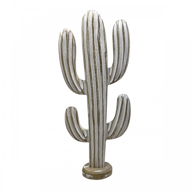 Cactus gra.