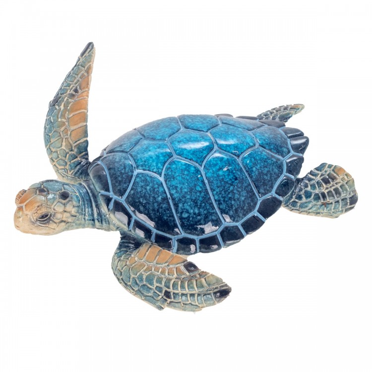 Tortuga