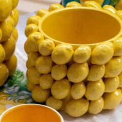 Macetero limones peq.