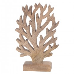 Coral peq.