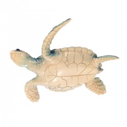 Tortuga