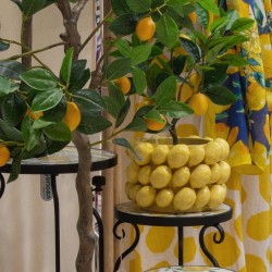 Macetero limones peq.