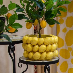 Macetero limones peq.