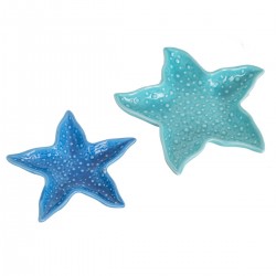 S/2 bandejas estrella mar