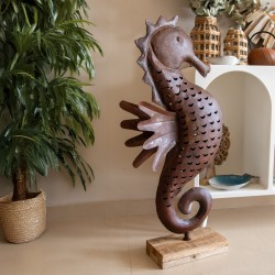 Caballito de mar gra.