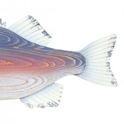 OFERTA *colgante pez madera relieve