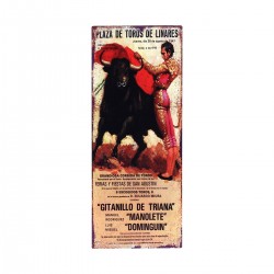 Placa pared plaza toros