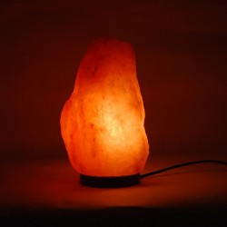 Lampara sal 4,85 kgs.