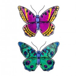 Mariposa
