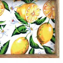 Bandeja rect.limones