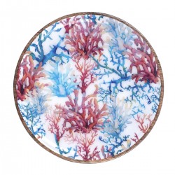 Plato coral