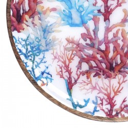 Plato coral