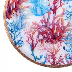 Plato coral