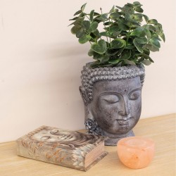 Cabeza buda