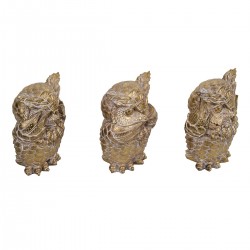 Buho no ve-oye-habla 