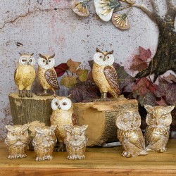 Buho no ve-oye-habla 