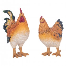 Gallina 2 dif.
