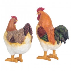 Gallina 2 dif.