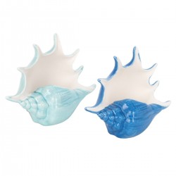 Concha candelabro 2dif