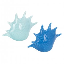 Concha candelabro 2dif