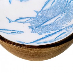 Cuenco peces pequeÐo