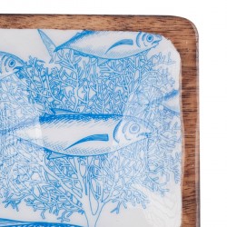 Plato peces cuadrado