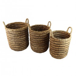 S/3 cestas