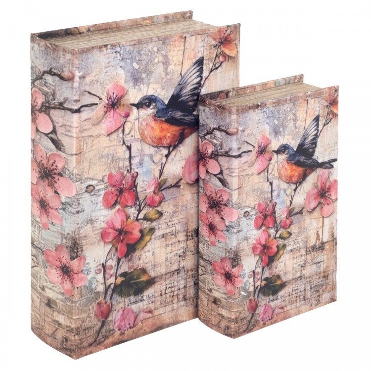 S/2 caja libro pajaro