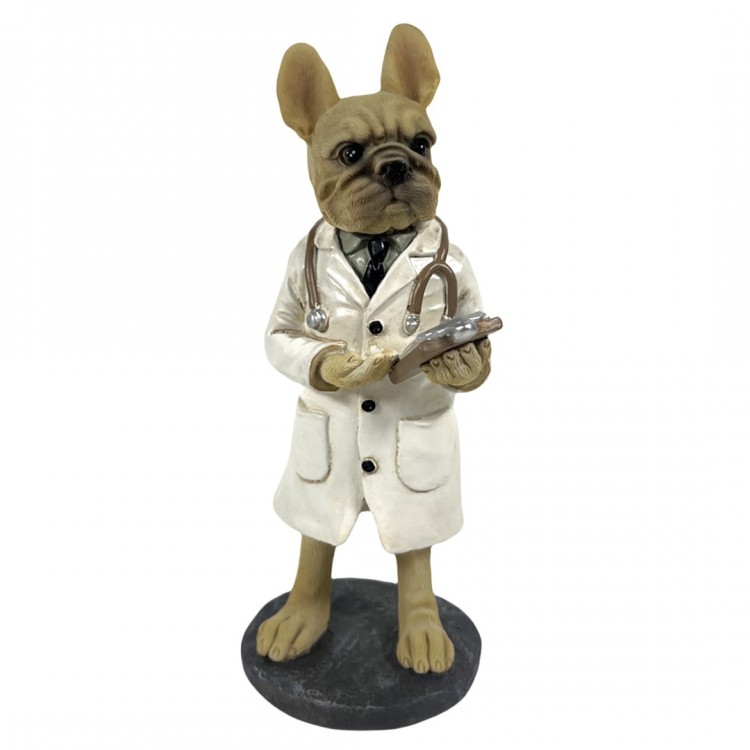 Perro bulldog medico