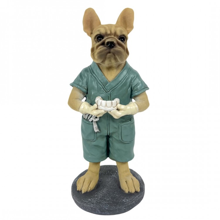 Perro bulldog dentista