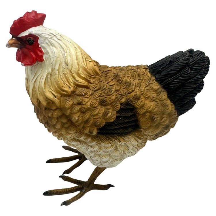 Gallina