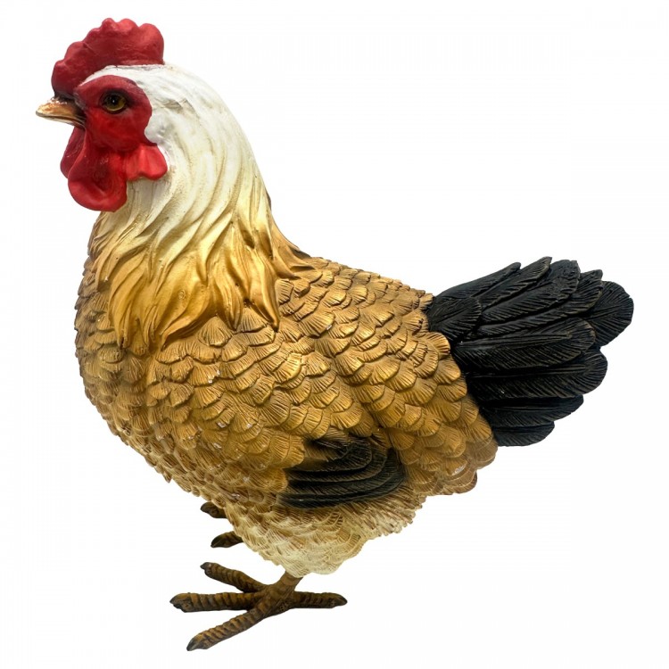 Gallina
