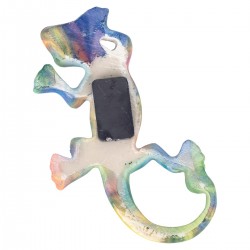 Magnetico lagarto 4 dif.