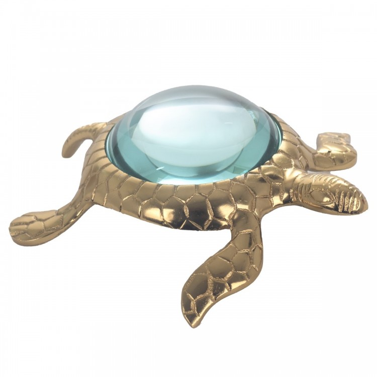 Lupa tortuga