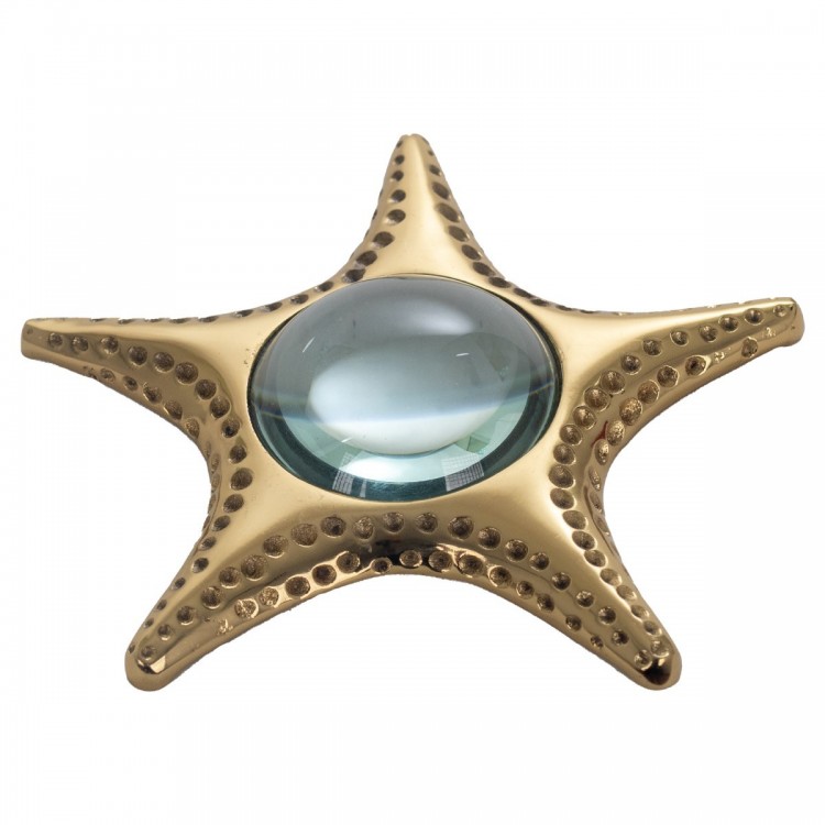 Lupa estrella de mar