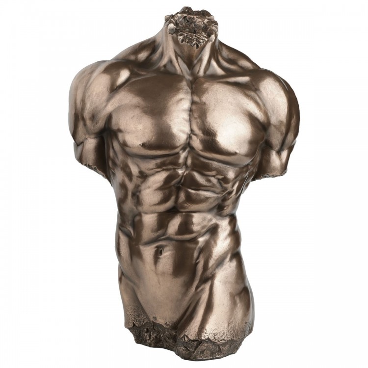 Torso hombre