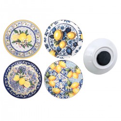 Magnetico limones 4 dif.