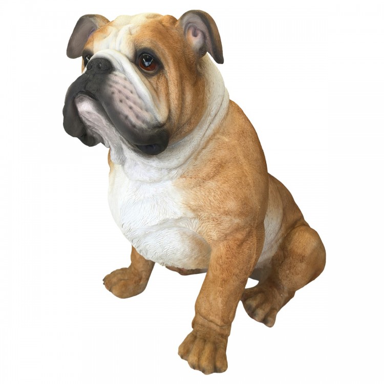 Perro