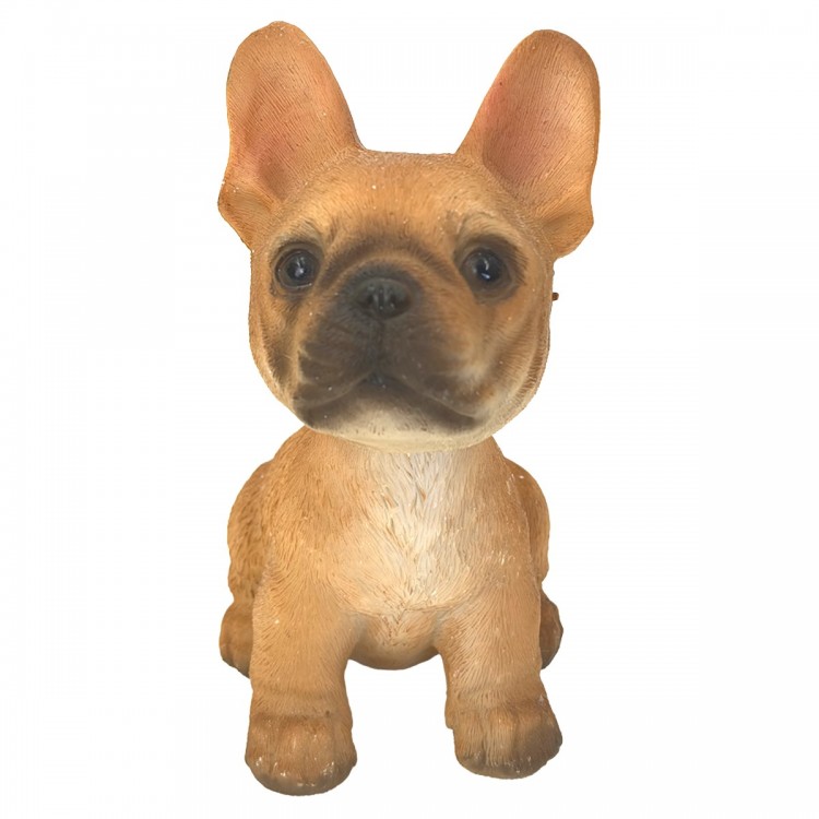 Perro