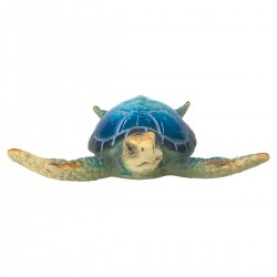 Tortuga