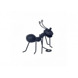 Hormiga negra