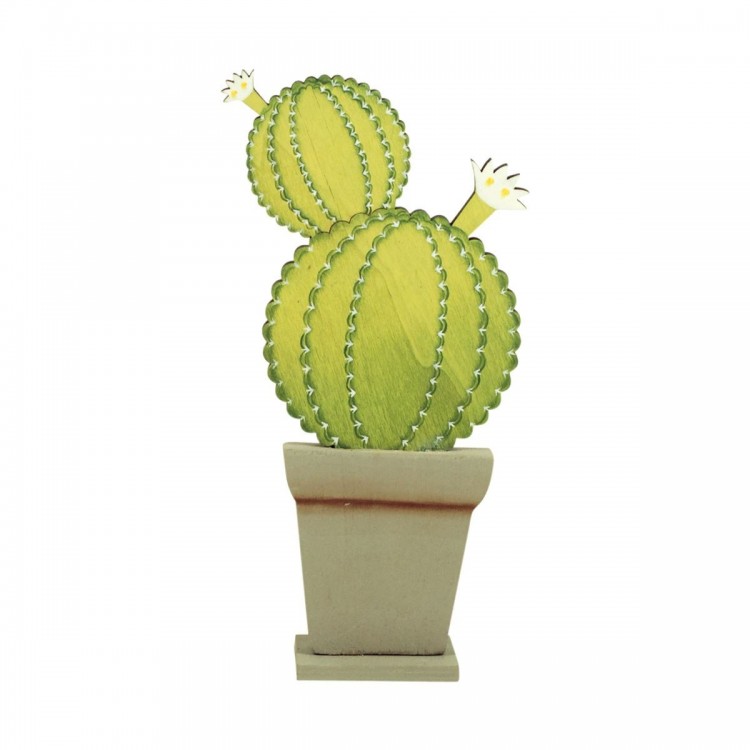 Oferta cactus